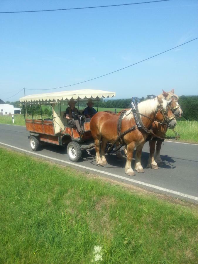 Herzfennerhof Mobilheim Auw bei Prum Extérieur photo